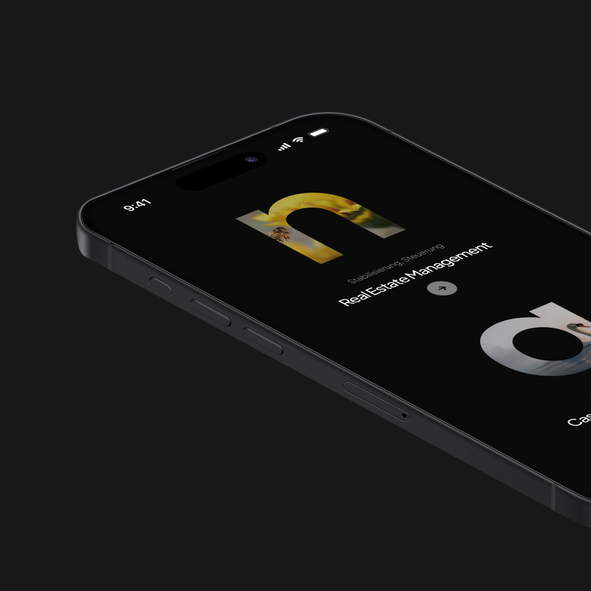 tifro-design-projekt-bena-uebersicht-5